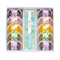 涼菓詰合せ（水羊羹10・星のしずく）