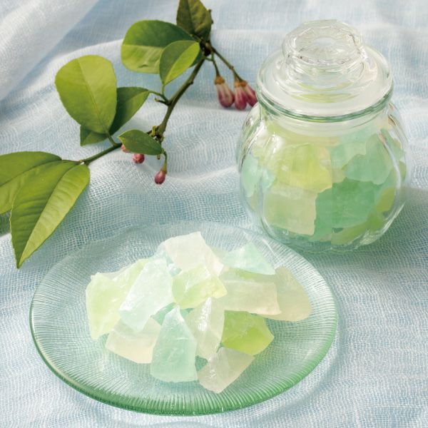 星のしずく／涼菓詰合せ（水羊羹10・星のしずく）