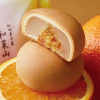 和菓山(1個・ご自宅用)