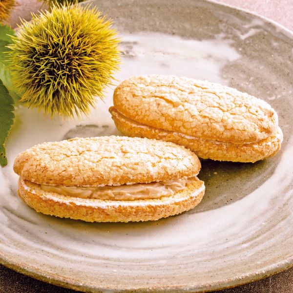 天使のささやき(マロン)／秋の鶴亀ギフト