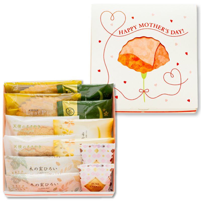 母の日ギフト(カーネーションBOX)